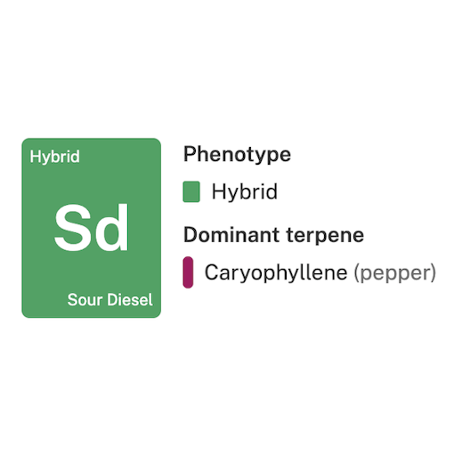Sour Diesel strain tile, one of our picks for the best strains for dabbing