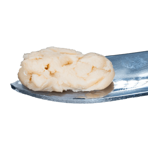 A dabber holding a light cream-colored, badder consistency dab of GMO hash rosin, one of our picks for the best THCA concentrates of 2025