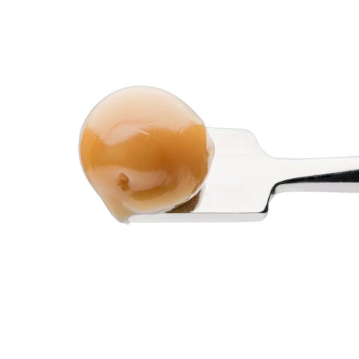 A caramel-colored dab of Pineapple Fritter hash rosin from Lucky Elk sits on a metal dabber against a white background, one of our picks for the best THCA concentrates of 2025