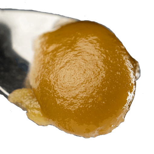 Gelato 41 caramel-colored dab on a metal dabber against a white background
