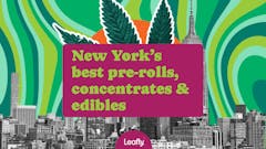 New York's best cannabis brands by Leafly