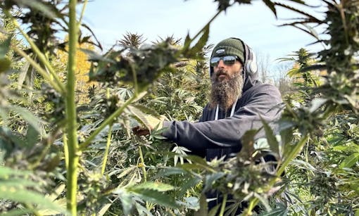 From Instagram: Meet our Vice President- James Bullman 🌱 Our "Farmer Jim" brand will be available for purchase by the end of this year as more dispensaries come online! This brand was inspired by Jimmy's tireless work and leadership the past year to deliver some of the best Sungrown Cannabis in the state. We can't wait to show NYS what we've got🌲