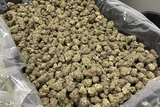 (courtesy of Trap To Table)