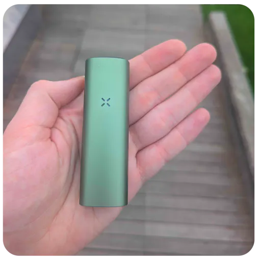 PAX mini in-hand