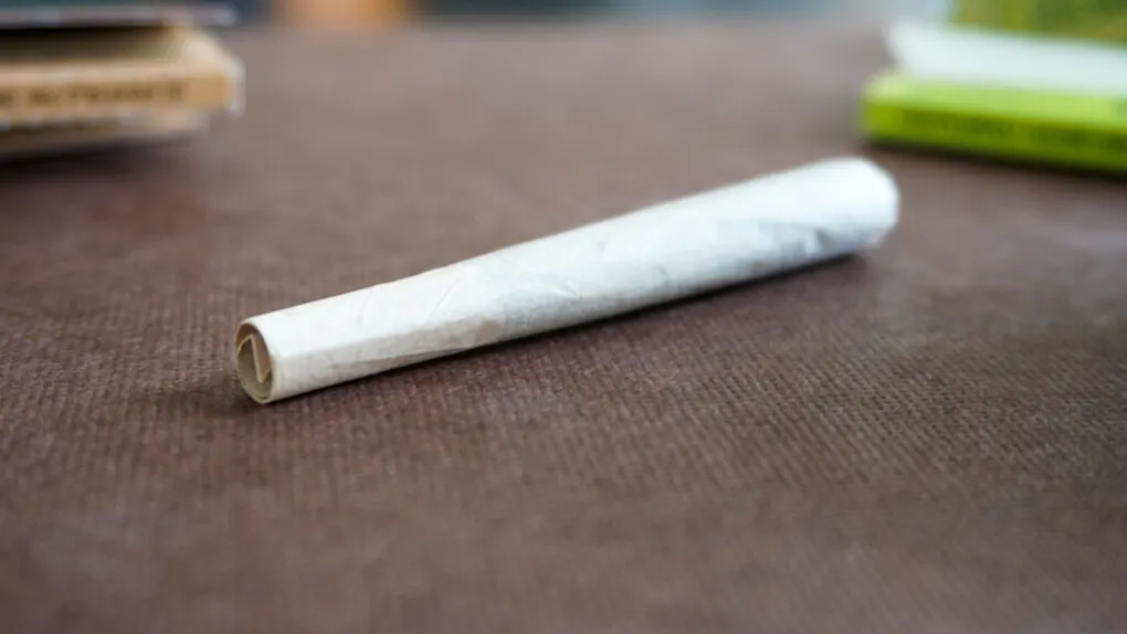 cigarettes in jamaica Al Capone Jamaican Blaze Filter Cigars