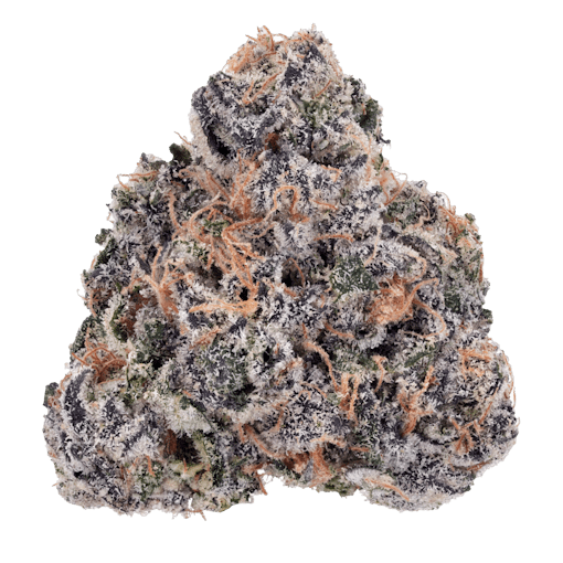 A zoomed in shot of a single nug of White Rainbow THCA flower from Arete sits against a white background. One of our picks for the best back-to-school weed products of 2025, this flower from Arete features orange pistils and dark green and purple hues.