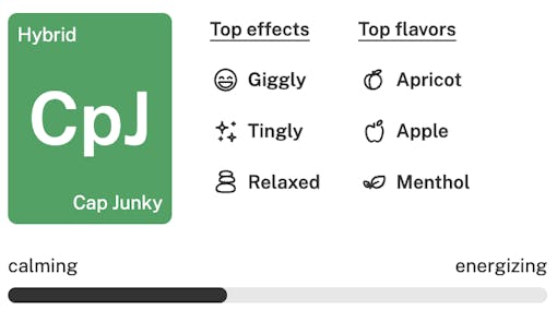 October 2025 horoscopes