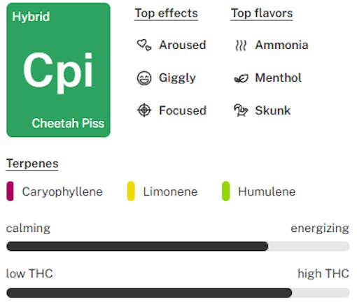 Cheetah Piss strain tile