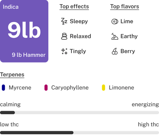 9 Pound Hammer strain tile lockup
