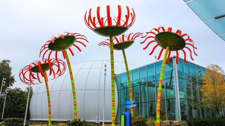 The best places to be high in Seattle: A cannasseur’s guide to the Emerald City image