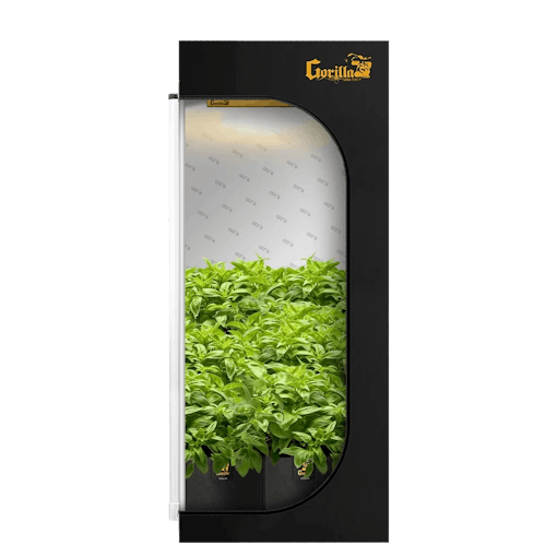 best grow tents