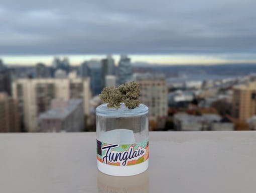 A 3.5g jar of Junglato flower from Fifty Fold sits against the Seattle city skyline, one of our best strains in Washington.