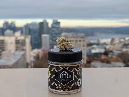 A 3.5g jar of Permanent Gas flower from Lifted Cannabis is photographed in front of the Seattle city skyline, one of our best strains in Washington.