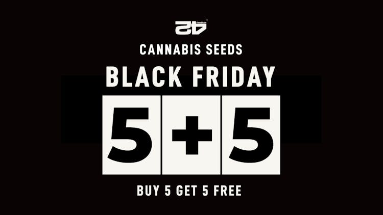 Take Black Friday to a whole new level with Fast Buds image