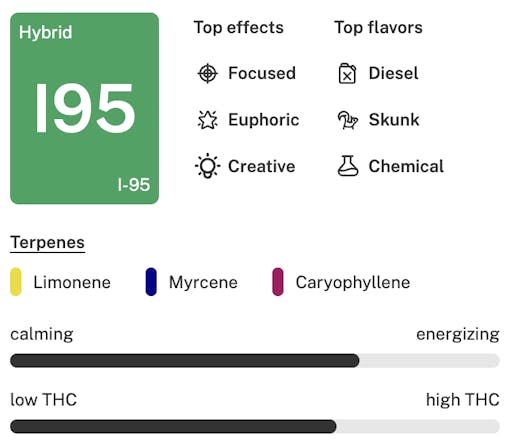 I-95 strain details - best-selling weed strains