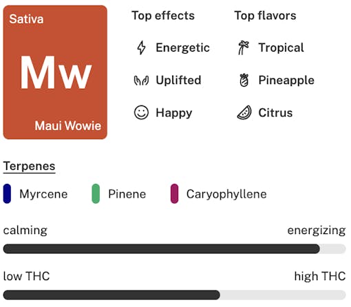 Maui Wowie strain details - best-selling weed strains