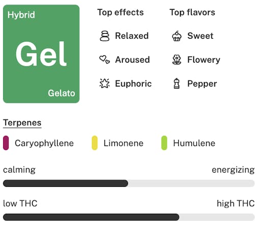 Gelato strain details