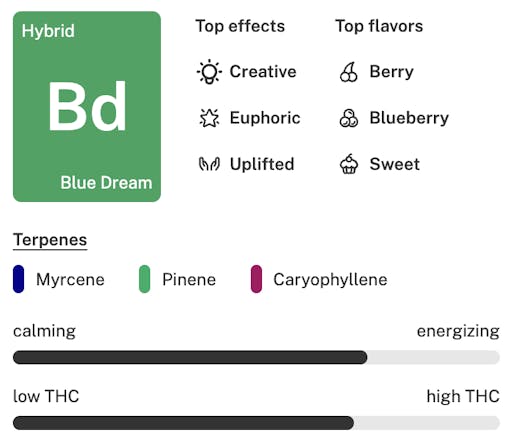 Blue Dream strain details