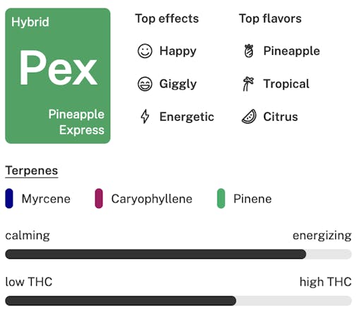 Pineapple Express strain details