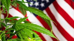 Cannabis rescheduling news