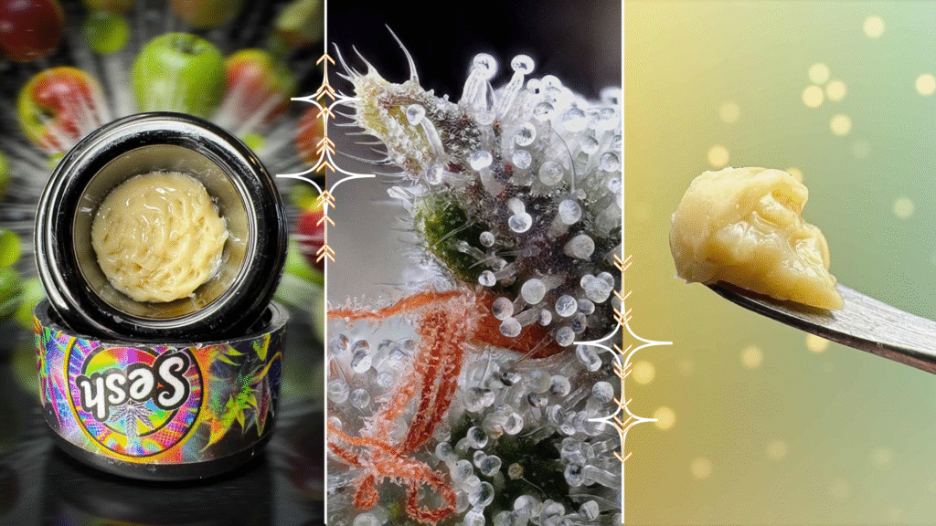 Meet Sesh by Sherlocks Glass—North Carolina’s leading THCA flower and live rosin brand, born from a glass museum