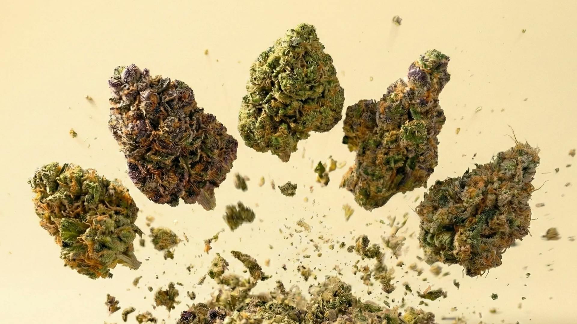 10 hot strains to smoke in 2026 image