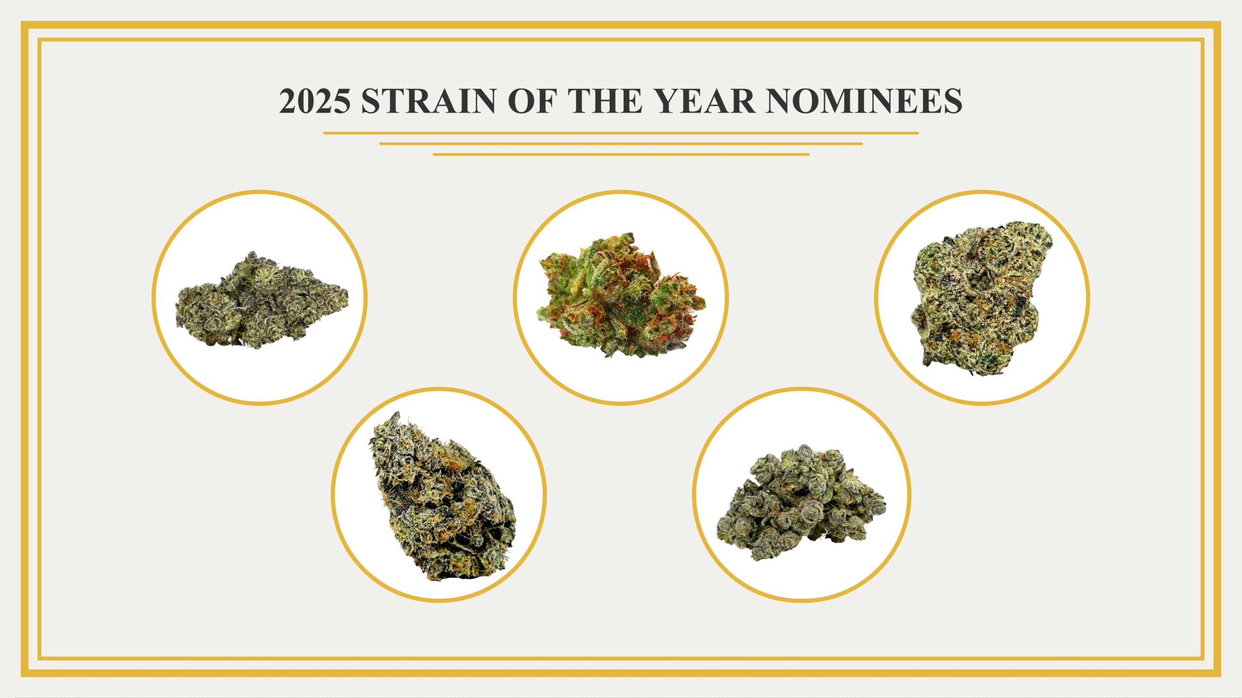 Announcing the nominees for Leafly Strain of the Year 2025 image
