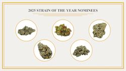 Announcing the nominees for Leafly Strain of the Year 2025 image