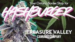 Treasure Valley is serving up Hash Burger, 2025’s Leafly Strain of the Year image