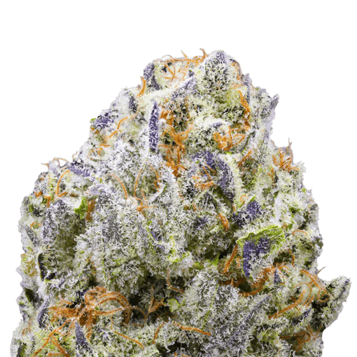 Purple Churro THCA flower from Lucky Elk