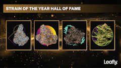 Leafly Strain of the Year winners of the past