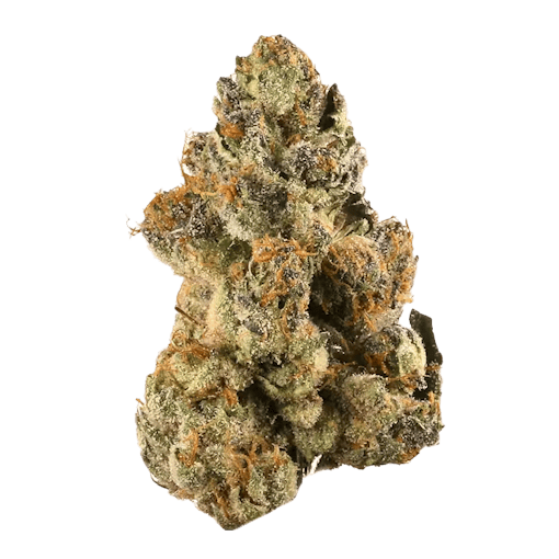 gelato SOTY 2018 nug image