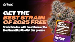 Get a free four-pack of Hash Burger seeds from Seed Supreme image