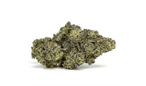 A flower nug of Hash Burger Leafly Strain of the Year 2025