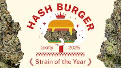 Order up! Hash Burger is Leafly Strain of the Year 2025 image