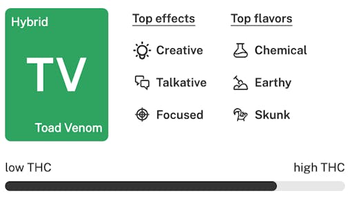 Toad Venom Strain Details: Best cannabis strains of spring 2026