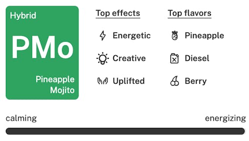 Pineapple Mojito Strain Details: Best cannabis strains of spring 2026
