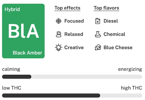 Black Amber Strain Details