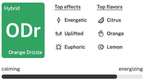 Orange Drizzle Strain Details