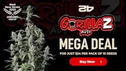 A once-in-a-lifetime 420 opportunity from Fast Buds image