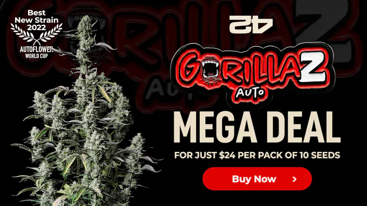 A once-in-a-lifetime 420 opportunity from Fast Buds image