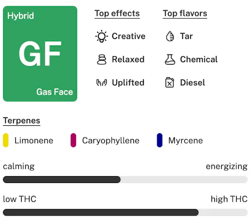 Gas Face strain details lockup