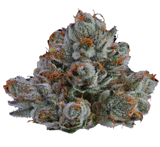 Larry Strawberry nug image
