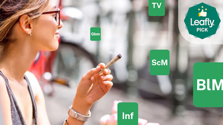 The best cannabis strains of September 2026