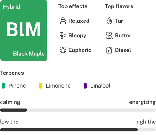 Black Maple strain details