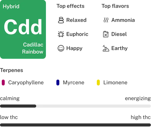 Cadillac Rainbows strain details