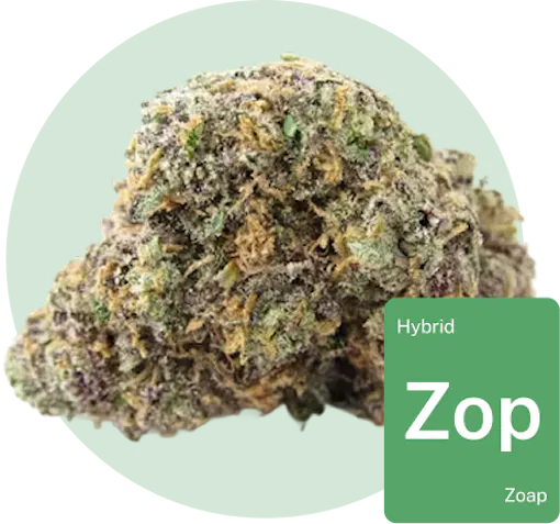 Zoap cannabis bud with strain tile