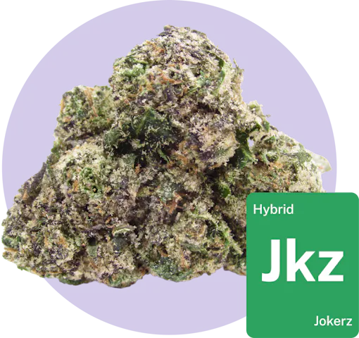 Jokerz cannabis bud with strain tile