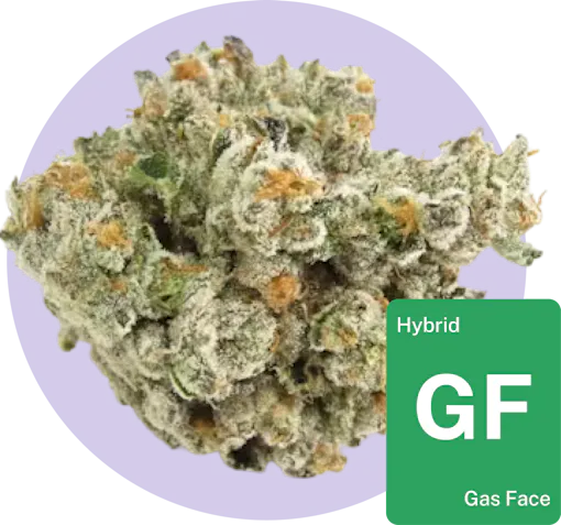 Gas Face cannabis bud with strain tile