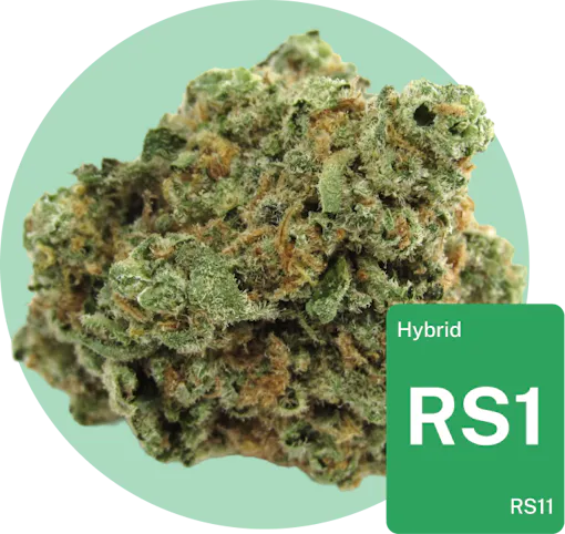 RS11 cannabis bud with strain tile